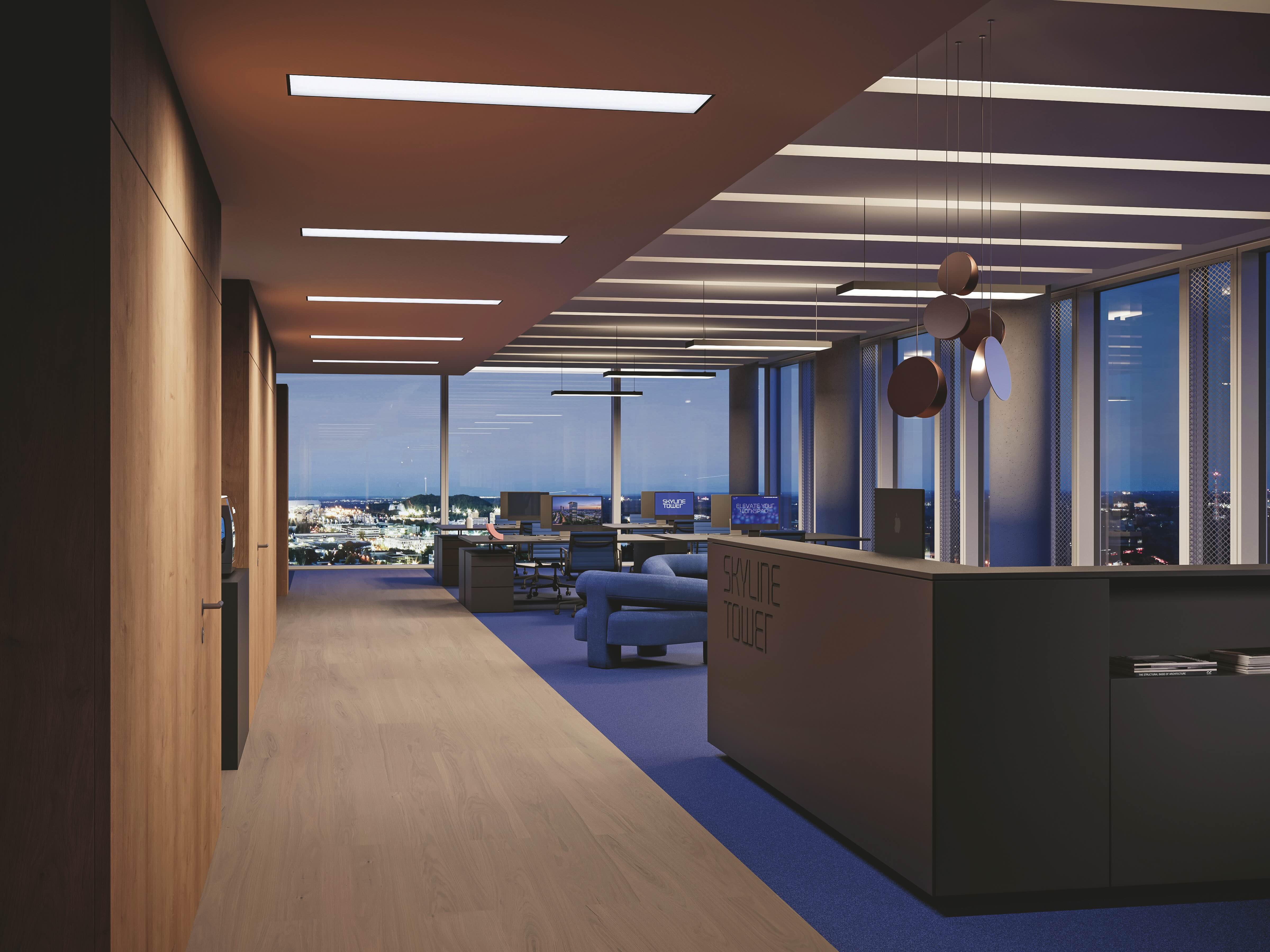 skyline tower: next level work